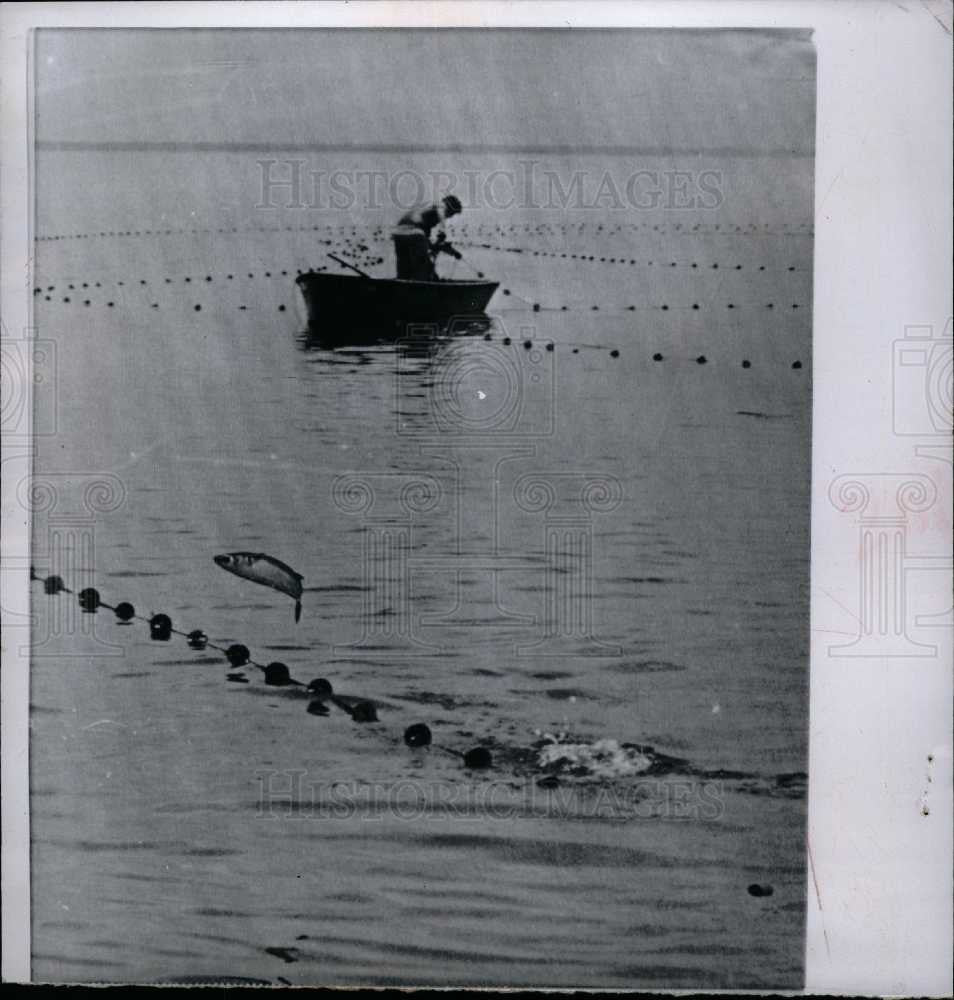 1965 Press Photo Fishing Fish got away 1965 Tampa - Historic Images