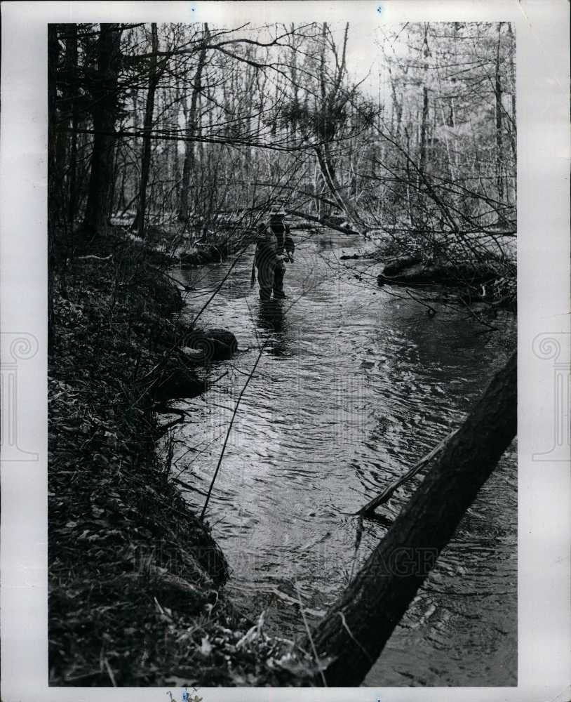 Press Photo Salmon - Historic Images