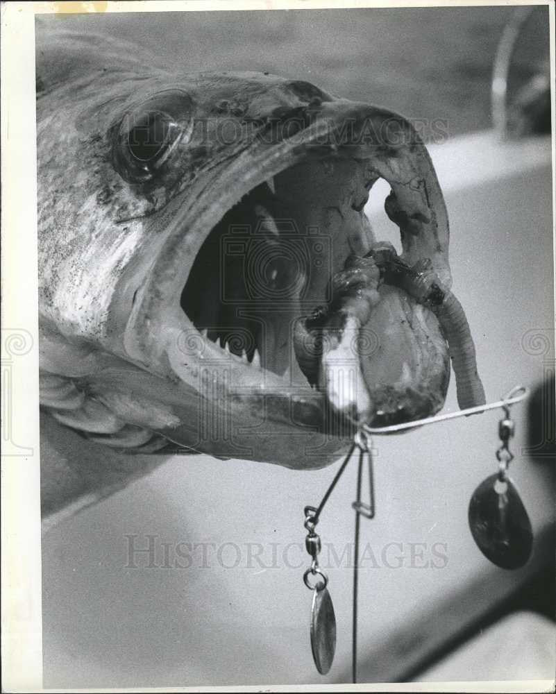 1984 Press Photo Fishing,Walleye fishing season - Historic Images
