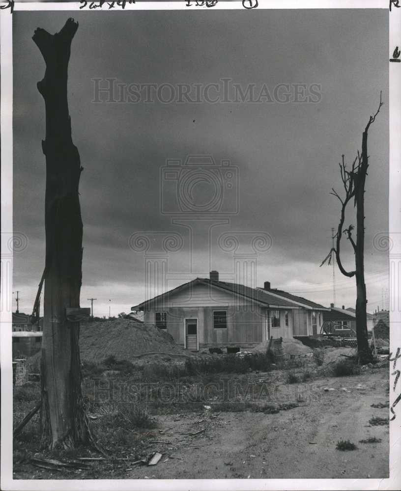 1954 Press Photo NEW HOUSE ARE GROWN UP IN FLUNT MICH - Historic Images