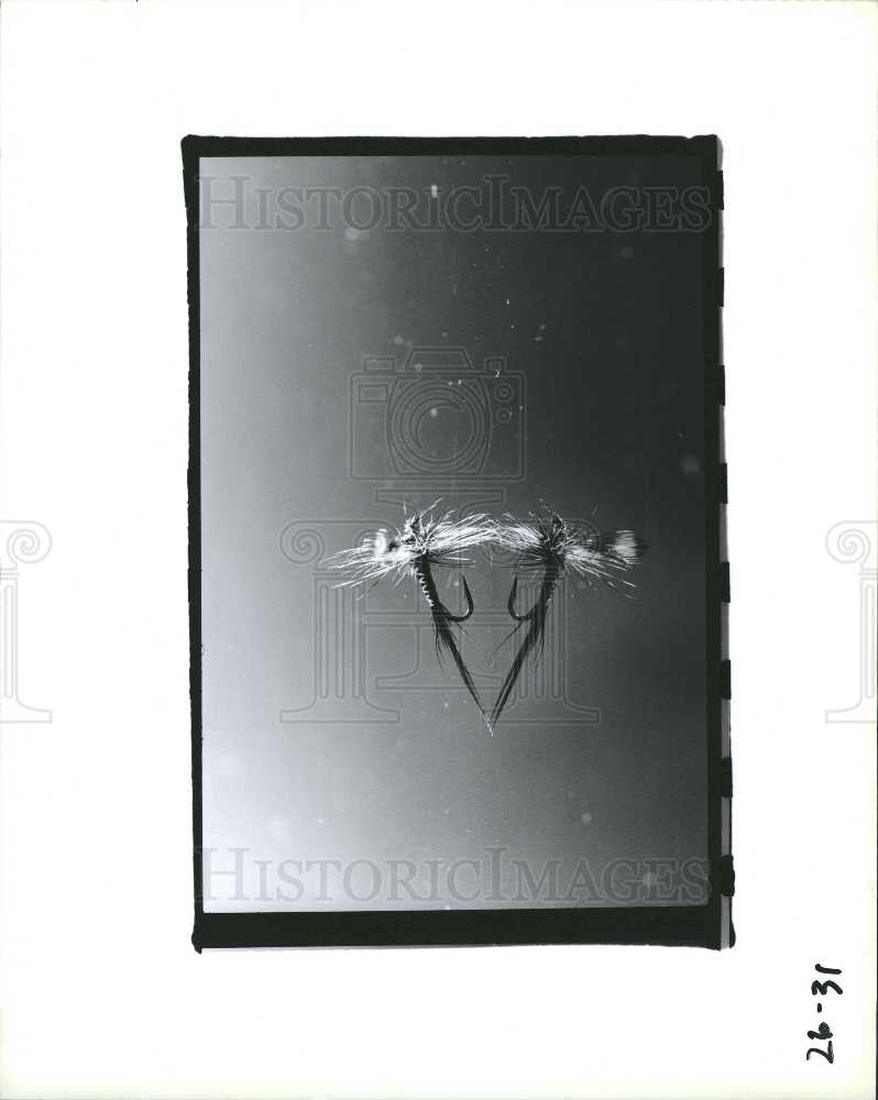 Press Photo Flies Fishing Lure - Historic Images