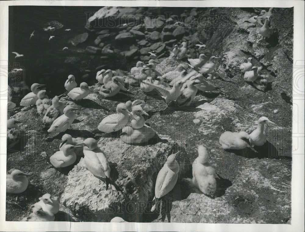 1940 Press Photo stones - Historic Images