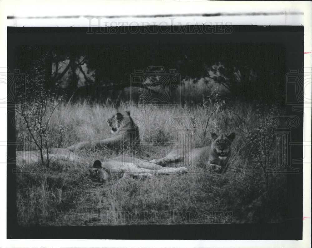 1989 Press Photo game-preserve animal-preserve canada - Historic Images