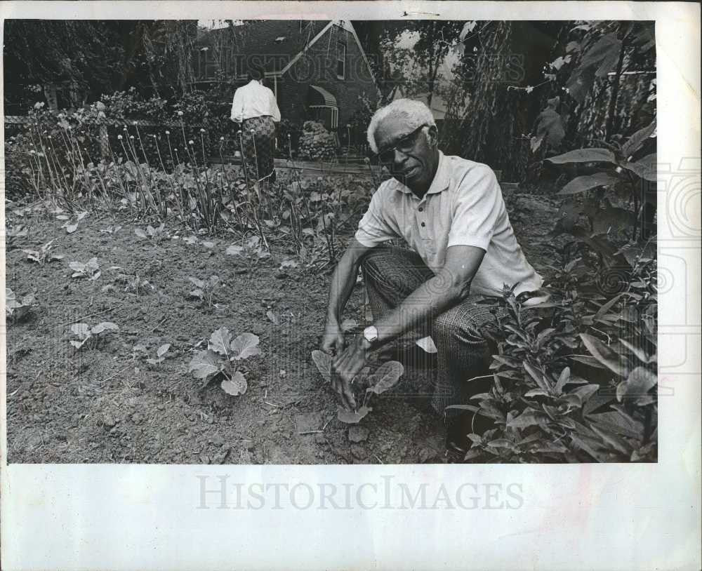 1974 Press Photo Mr. Mathis weeds the garden - Historic Images