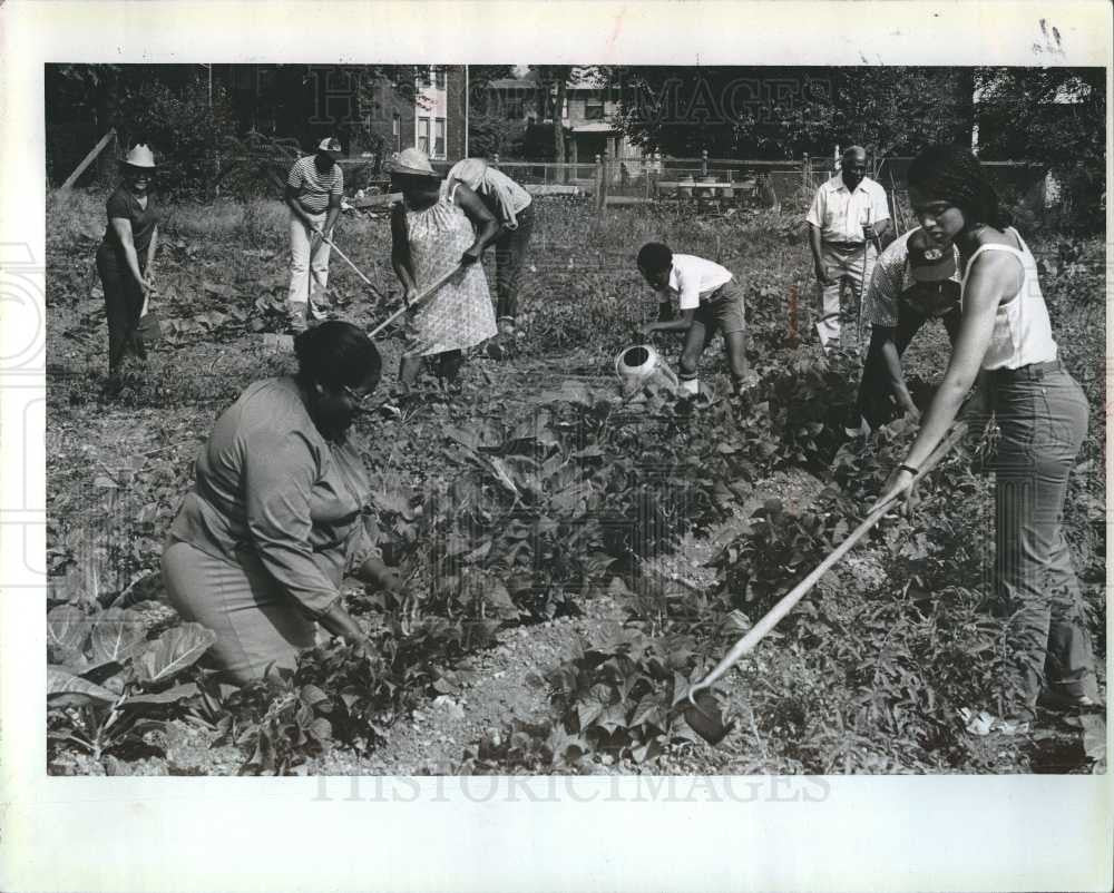 1980 Press Photo Garden Gardening in Detroit - Historic Images