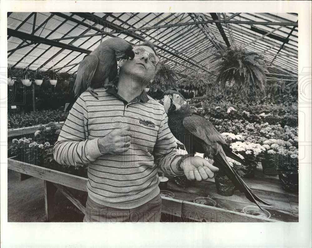 1984 Press Photo Joe Colasanti Tropical Gardens macaws - Historic Images