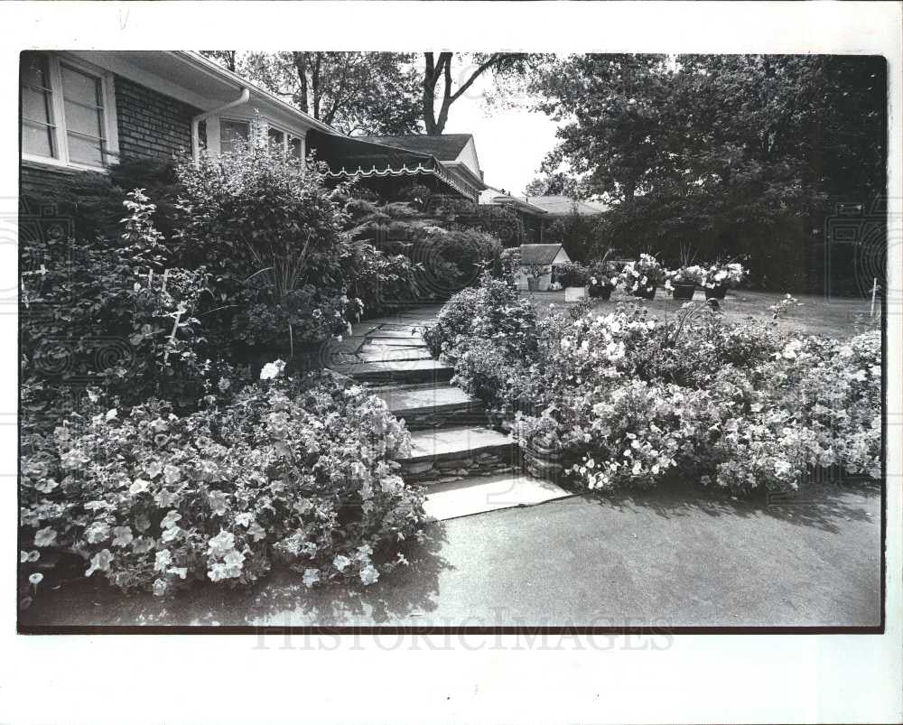 1981 Press Photo Babcock garden Bedford Grosse Pointe - Historic Images