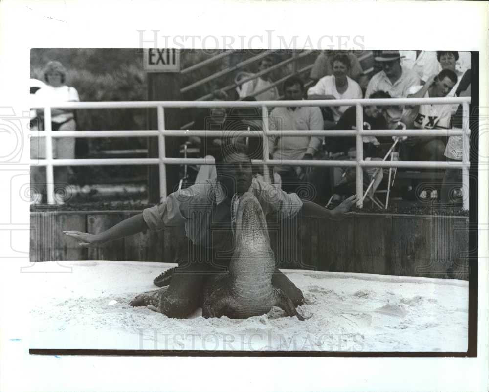 1998 Press Photo Gator land - Historic Images