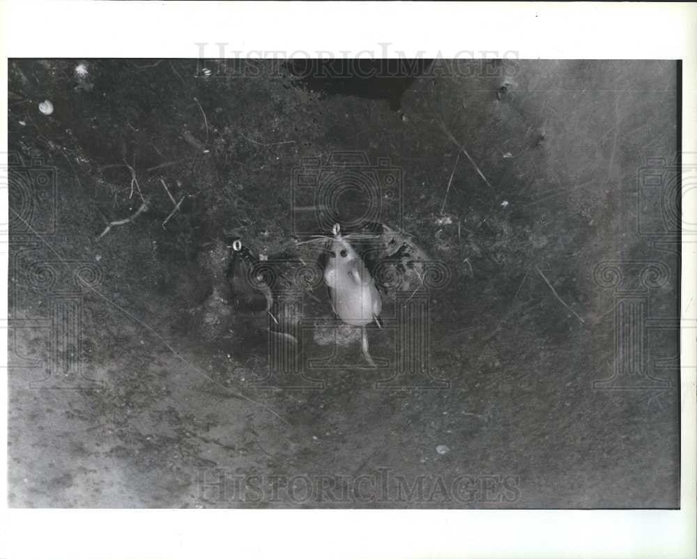 1991 Press Photo Fishing Equipment - Historic Images