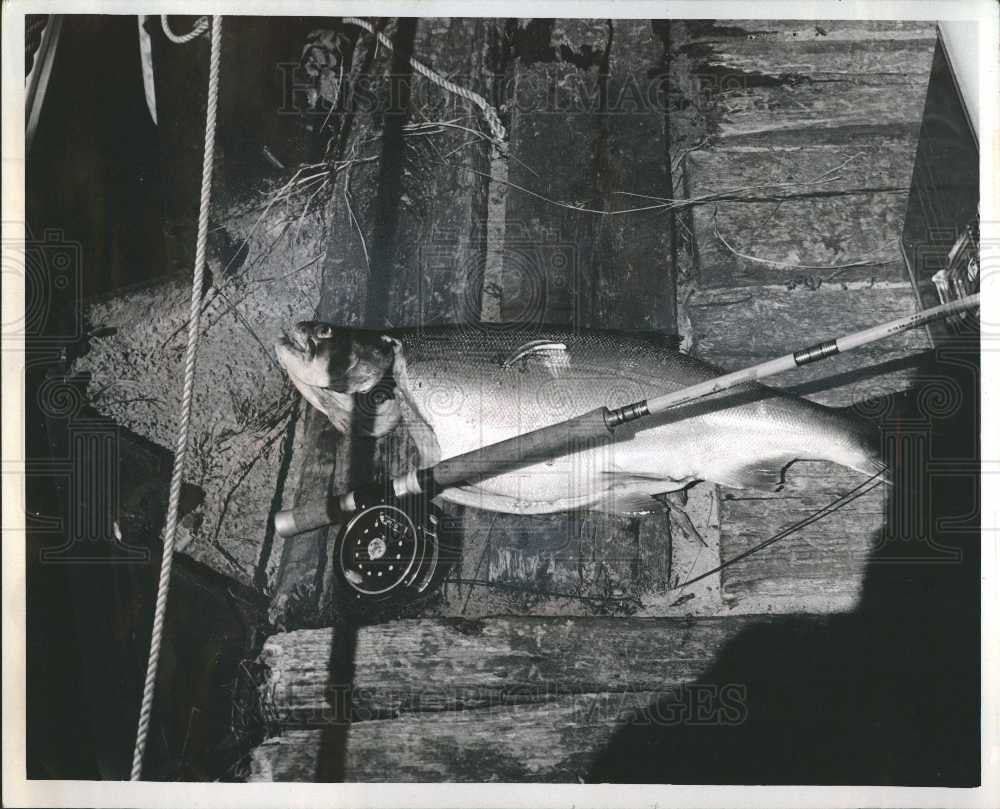 1967 Press Photo Coho Fishing - Historic Images
