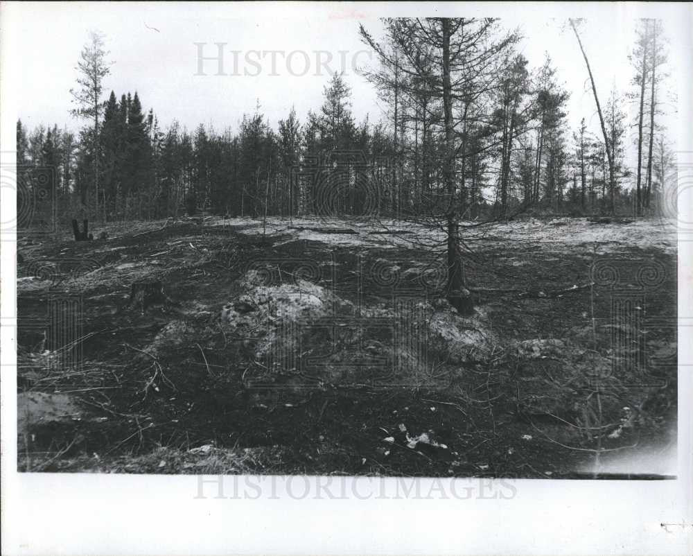 1977 Press Photo Forest Fire - Historic Images