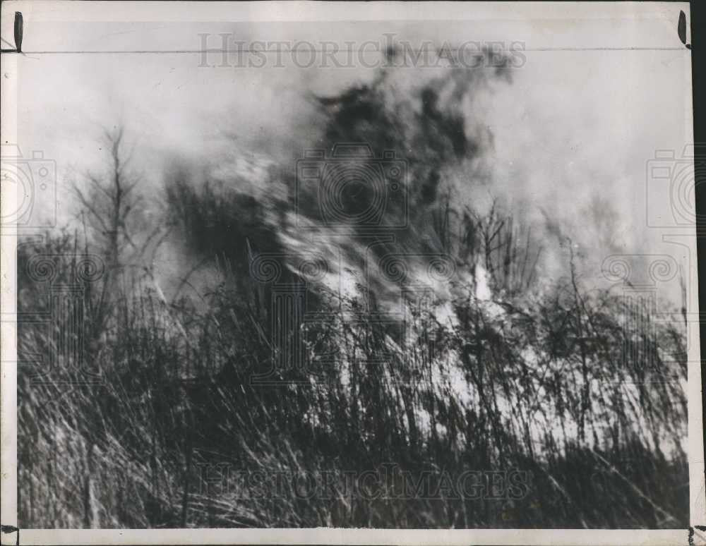 1946 Press Photo FOREST FIRE.,FORESTERY DEPARTMENT - Historic Images