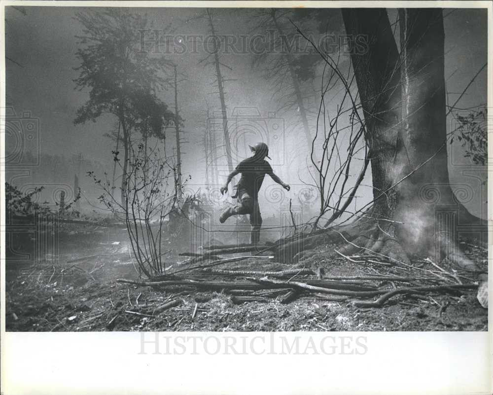 1978 Press Photo Forest fire - Historic Images