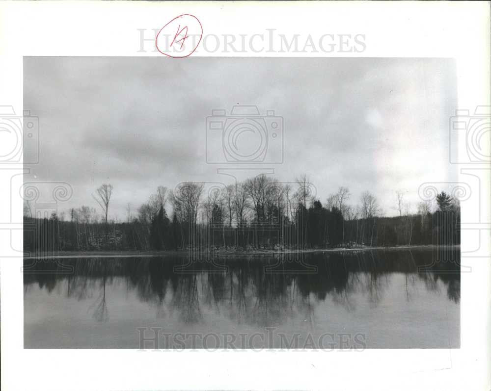 1998 Press Photo A SMALL POND NEAR DOCKERY ROAD JUST - Historic Images