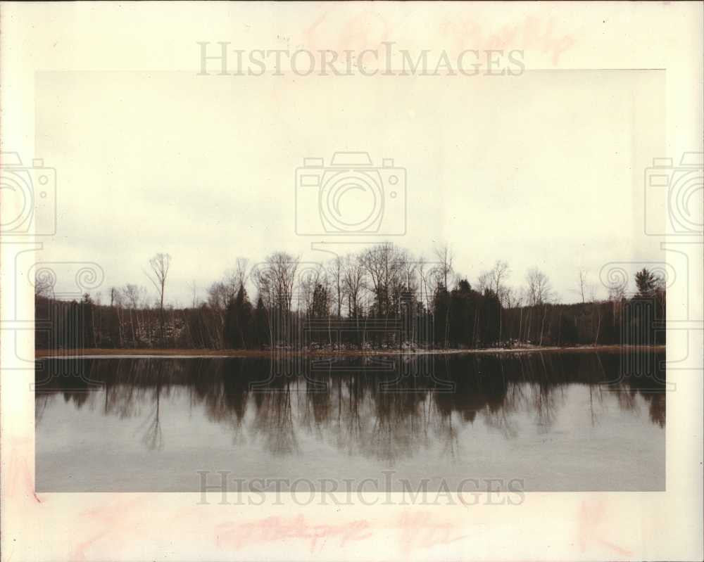 1992 Press Photo pond reflects Dockery Road  Kalkaska - Historic Images