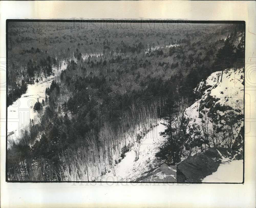 1975 Press Photo Forest - Historic Images