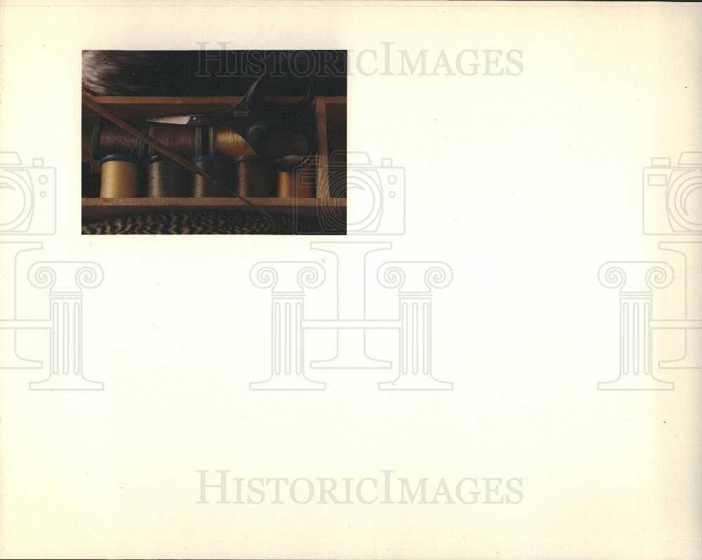 Press Photo Flies, scissors, threads, feathers - Historic Images