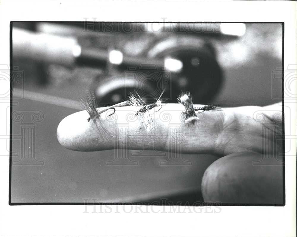 Press Photo Flies Fish Fishing Sports Lake Bait - Historic Images