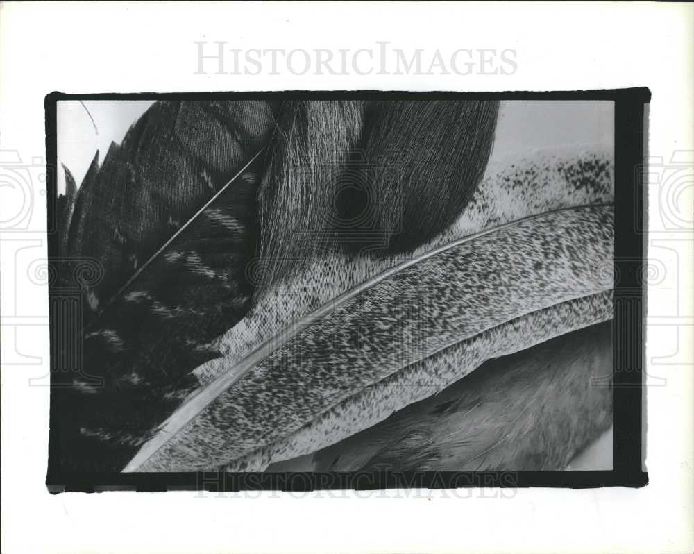 Press Photo flyfishing lures artificial flies bait - Historic Images