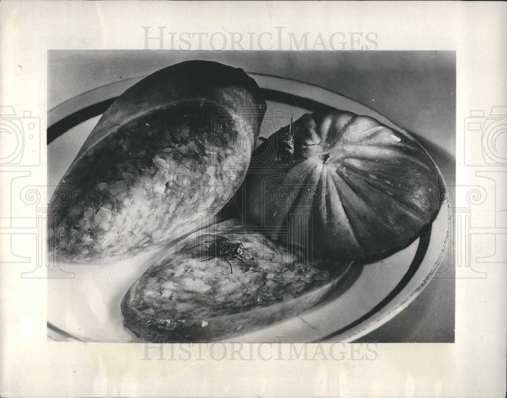 1937 Press Photo flies insects order-diptera - Historic Images