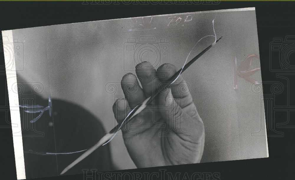 1942 Press Photo Bluegills Fishing Porcupine Quill - Historic Images