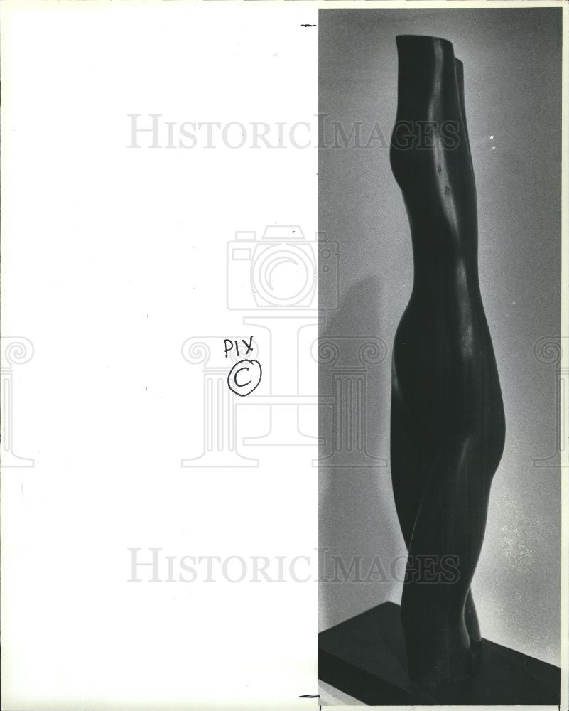 1984 Press Photo Alden Smith Sculpture African Cherry - Historic Images