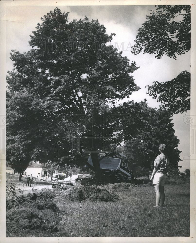 1962 Press Photo Bulldozer trees woman shorts watching - Historic Images