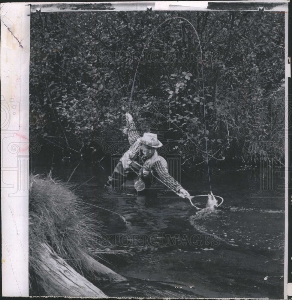 1963 Press Photo fish trout - Historic Images