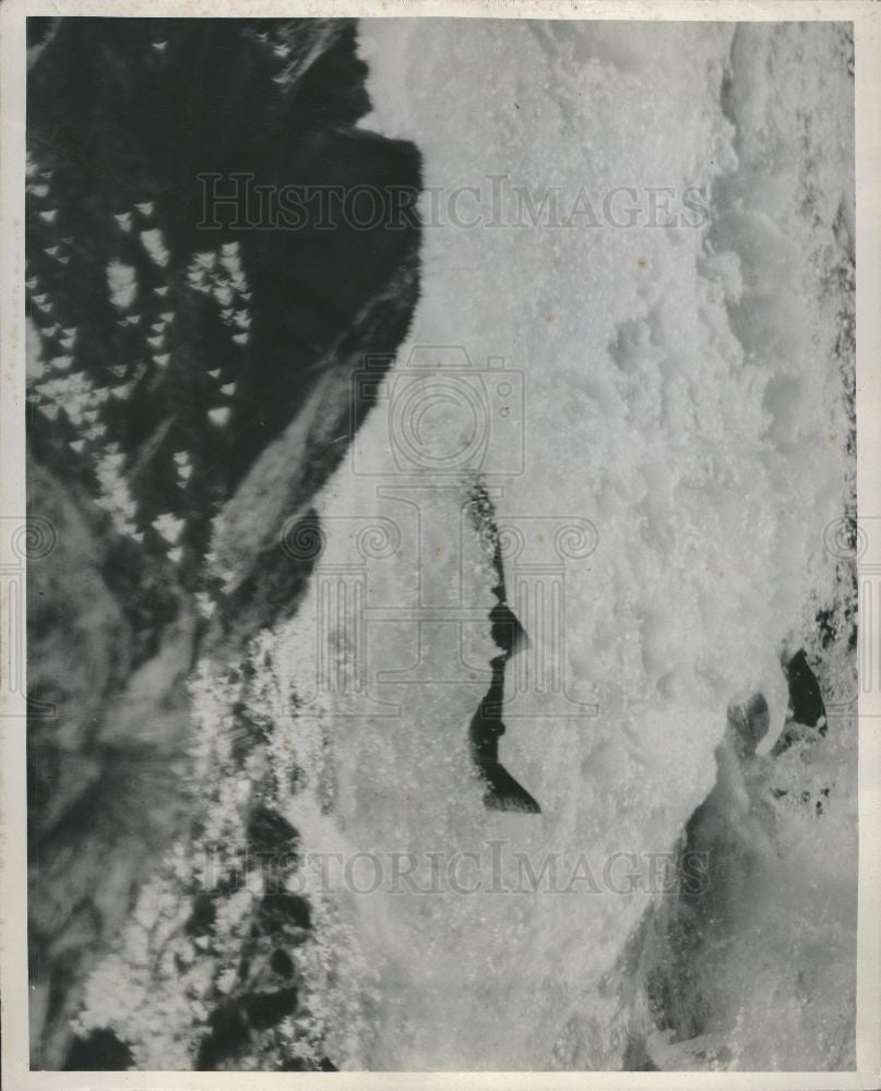 1947 Press Photo Salmon Falls - Historic Images