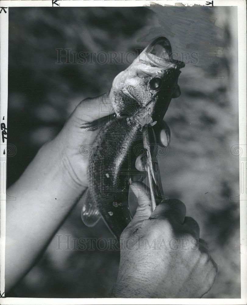 Press Photo Jack Van Covering - Historic Images