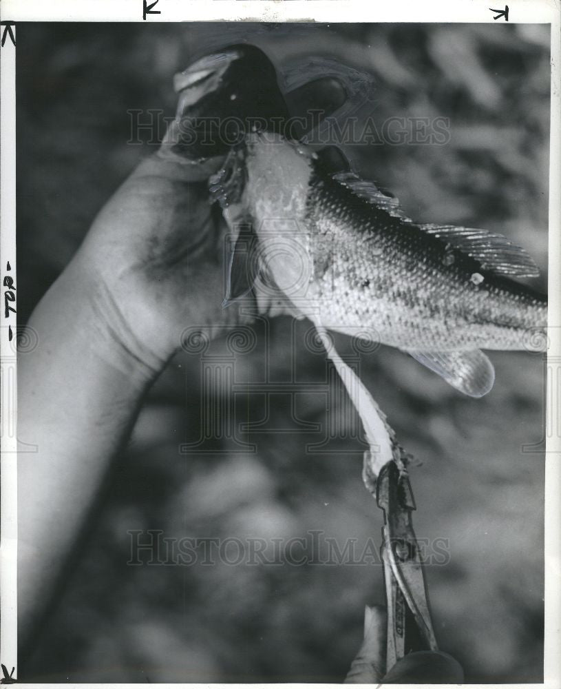 Press Photo Jack van covering - Historic Images