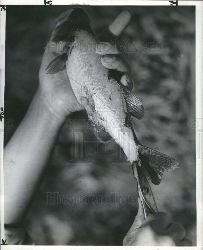 Press Photo Jack Van Coevering - Historic Images