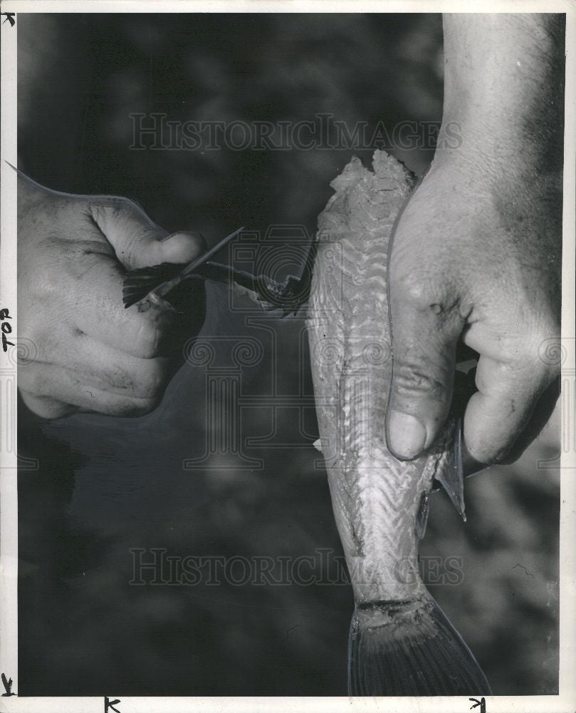 Press Photo Jack Van Coevering - Historic Images