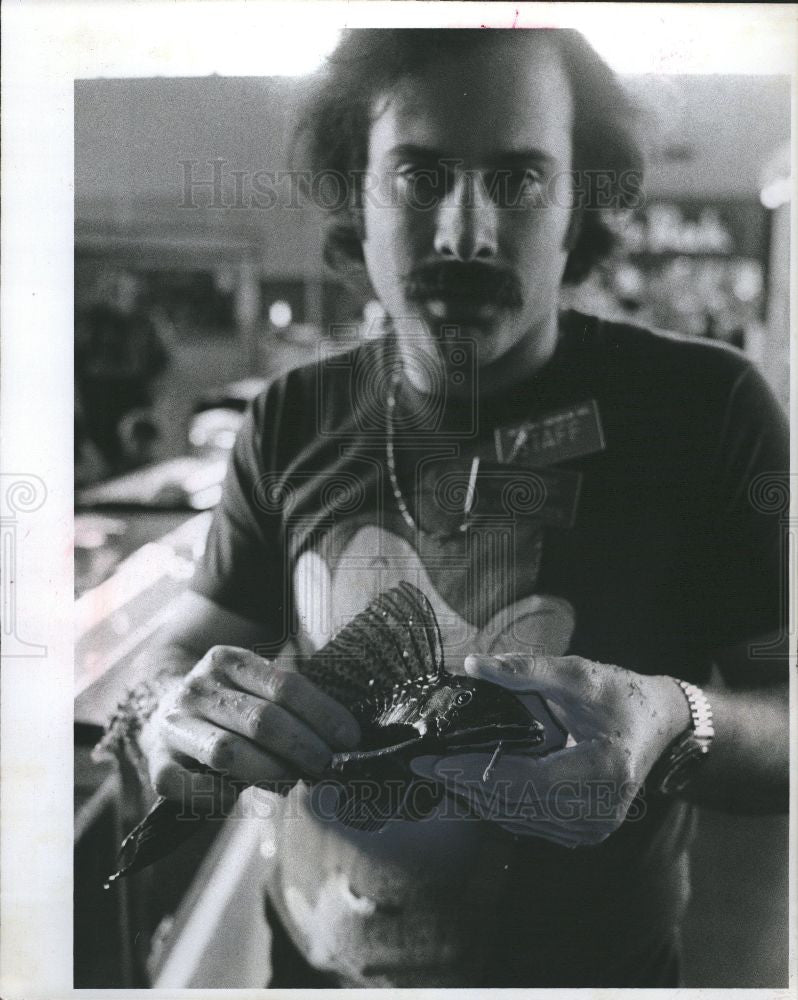 1977 Press Photo Fish Catfish - Historic Images