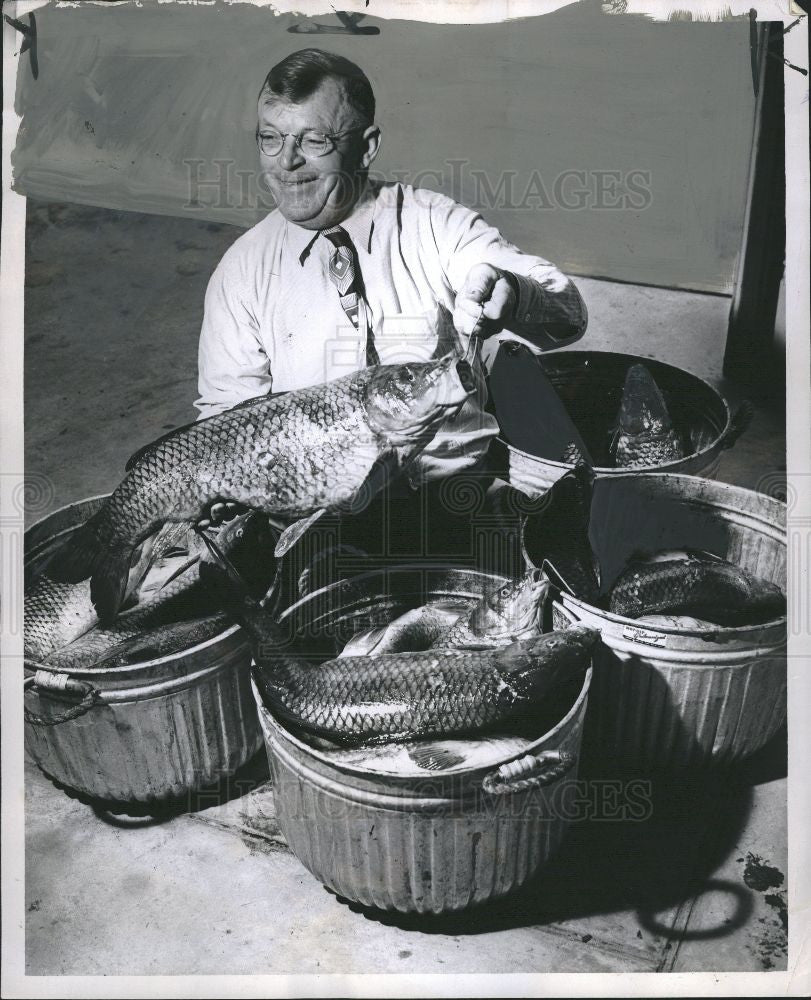 1952 Press Photo August Billiet carp storm sewers fish - Historic Images