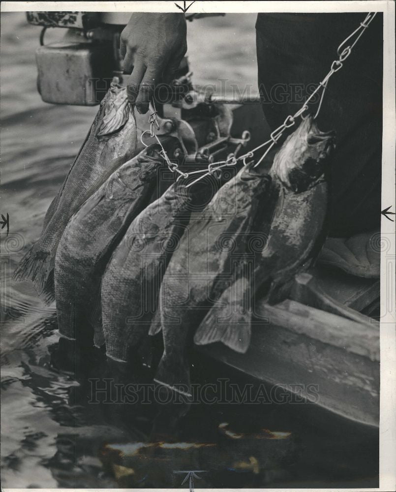 1939 Press Photo Jack Van Coevering Bass Fish Fishing - Historic Images