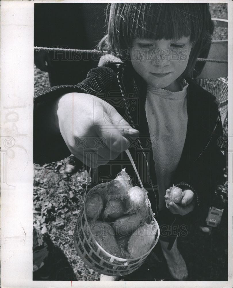 1993 Press Photo Easter Eggs Spring Egss - Historic Images