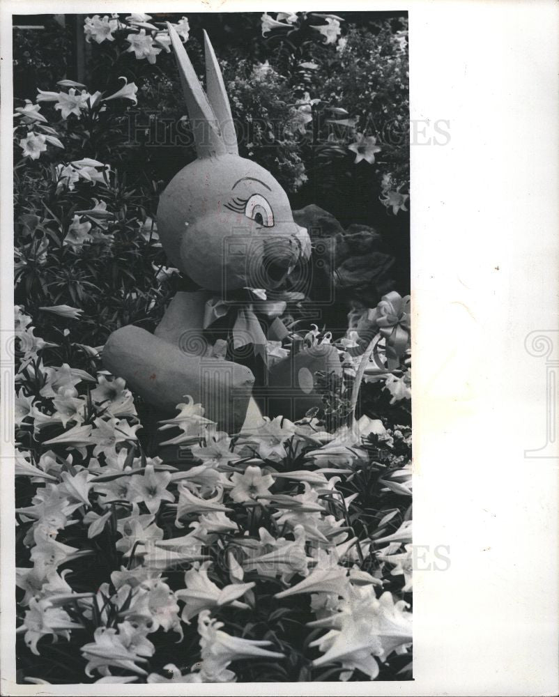 1976 Press Photo easter bunny trek global rabbit lilly - Historic Images