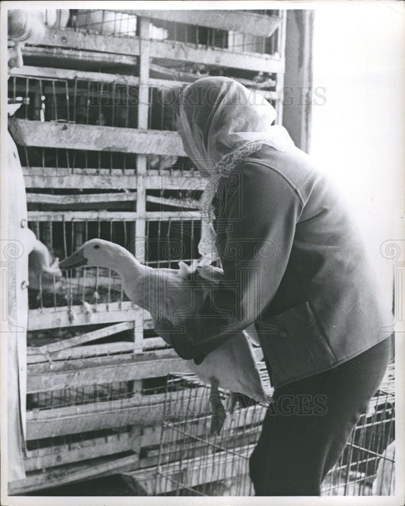 1967 Press Photo Detroit Eastern Market Farmers Goose - Historic Images