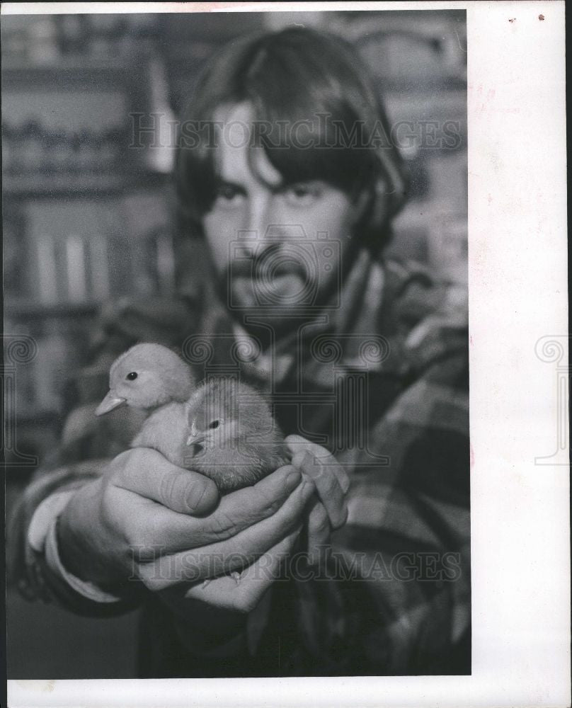 1977 Press Photo Pat Lowrey pet store manager baby duck - Historic Images