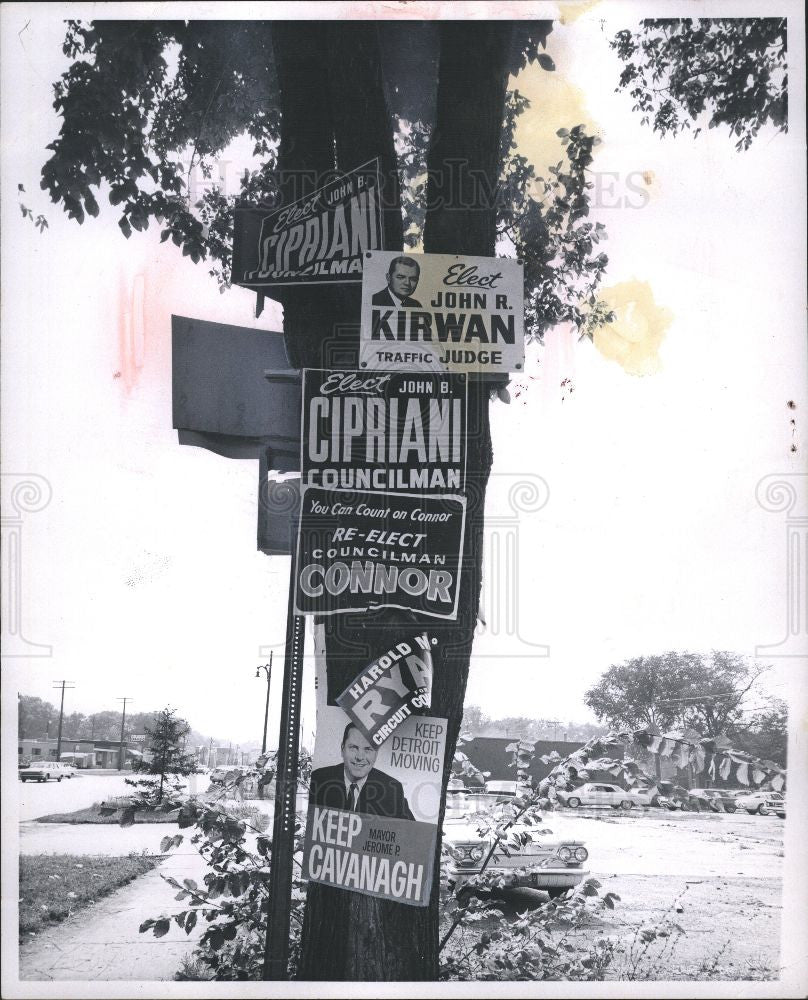 1965 Press Photo Election signs Cavanaugh. - Historic Images