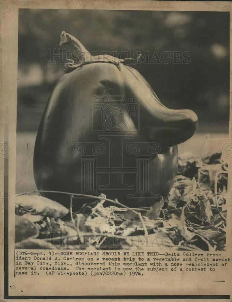 1976 Press Photo Eggplant comedian nose - Historic Images