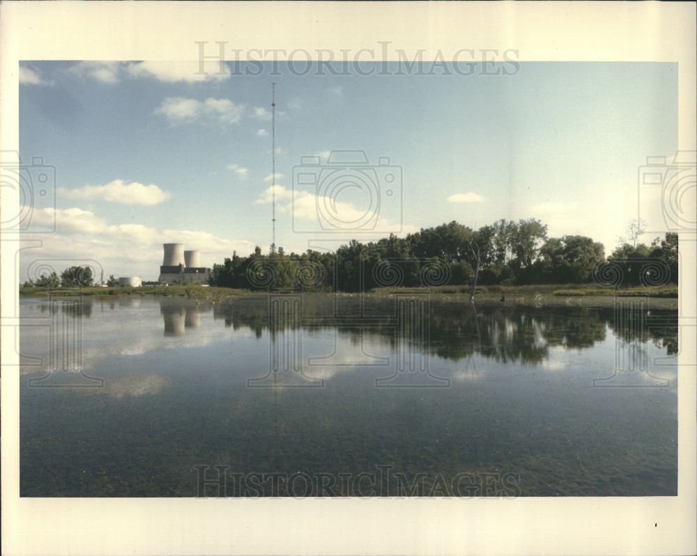 1989 Press Photo Fermi power plant - Historic Images
