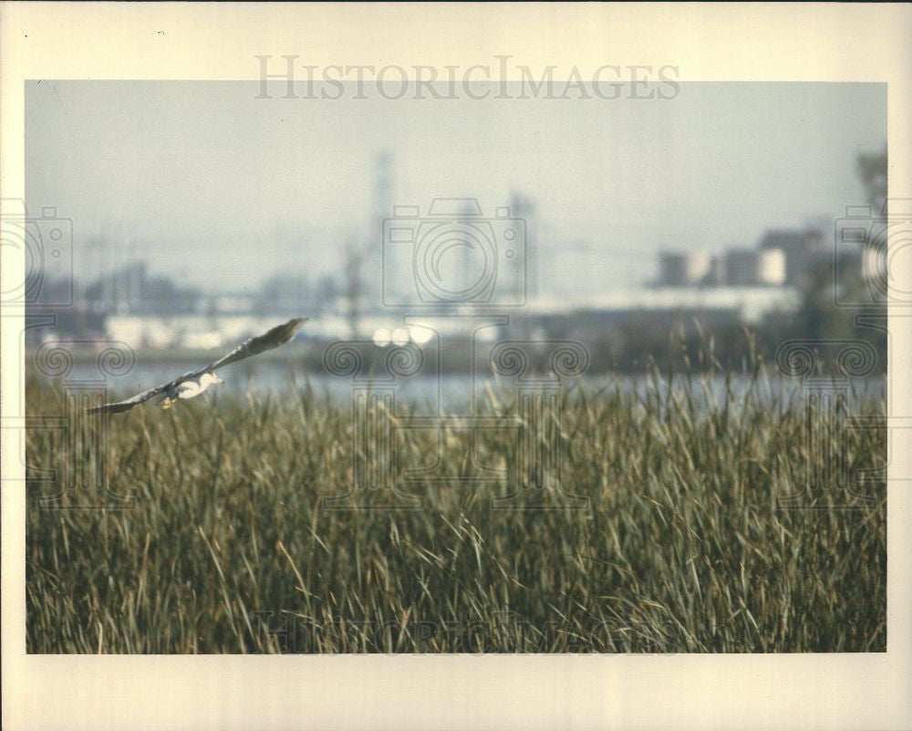 1989 Press Photo Enrico Fermi Nuclear Station Michigan - Historic Images
