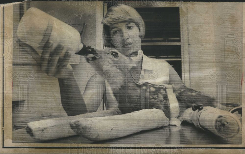 1970 Press Photo Fawn Broken Leg Animal Clinic Ohio - Historic Images