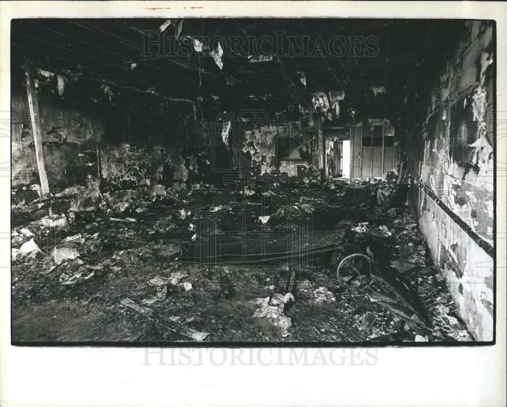 1979 Press Photo Fire Tiger Record Store Burned Blaze - Historic Images