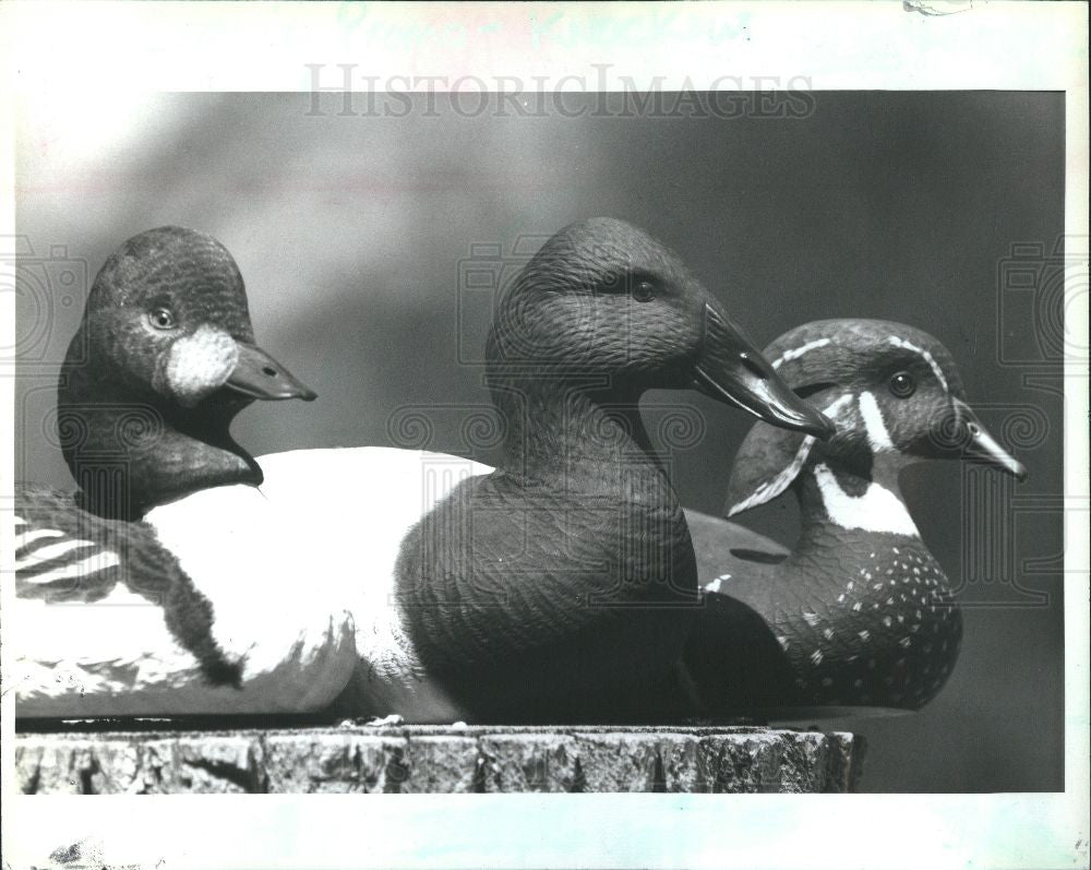1992 Press Photo Mark Berg duck decoys Rogers City - Historic Images