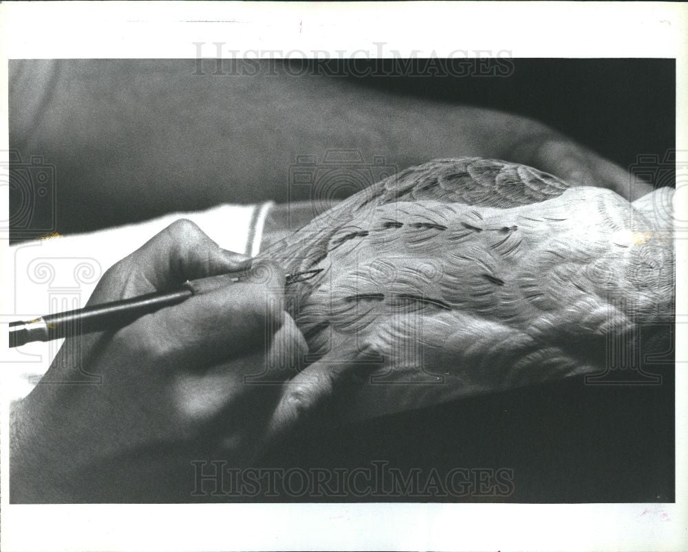 1992 Press Photo Duck decoy Berg Louisiana feathers - Historic Images