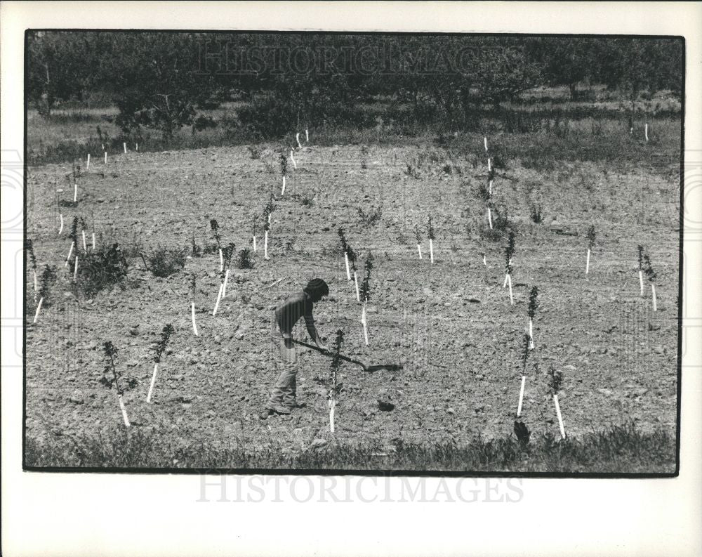 1988 Press Photo Farmers  Frought - Historic Images