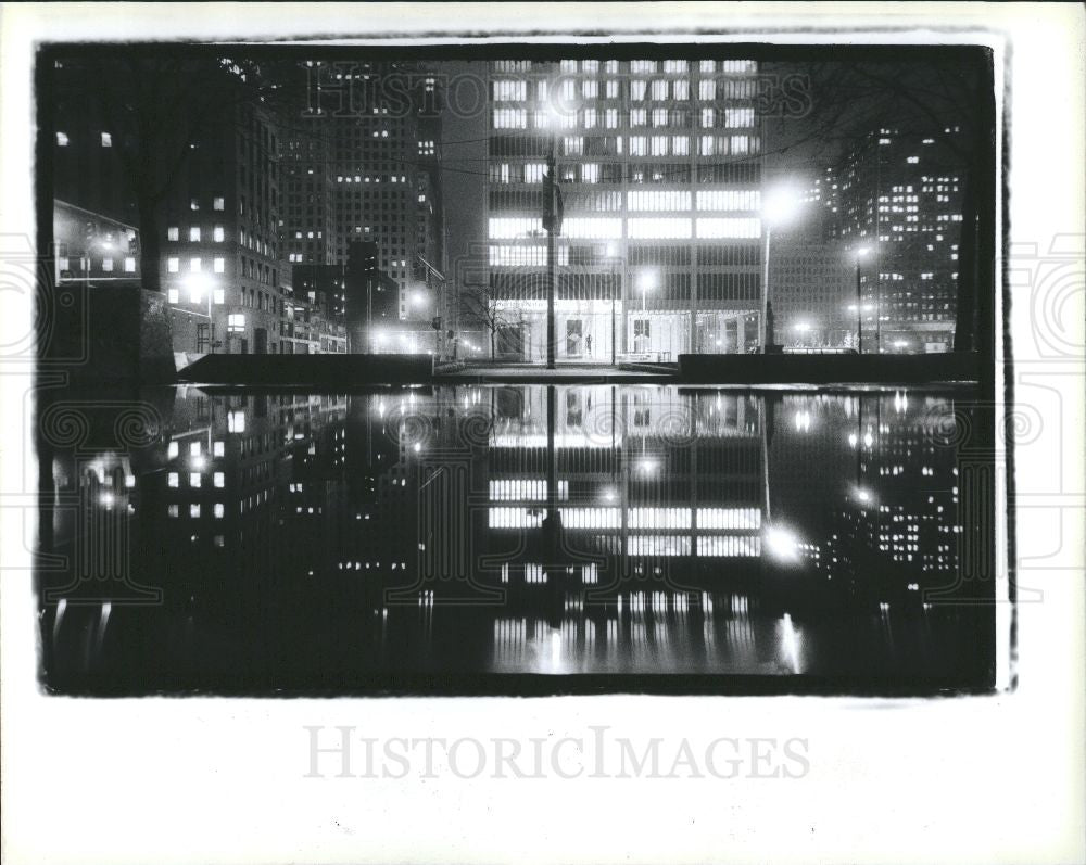 1990 Press Photo Beauty by rainwater in a puddle - Historic Images